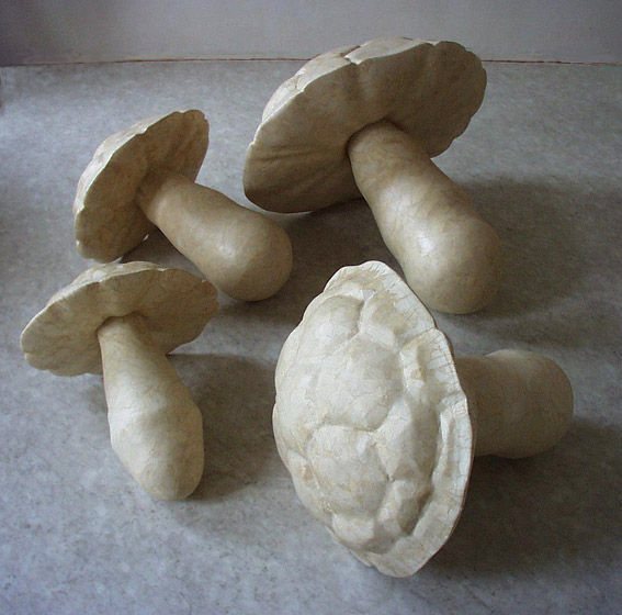 Želví houby, 1998. Polystyren, papír, lak.