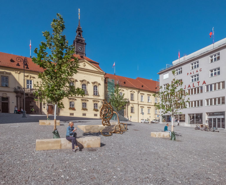 Pohled na Dominikánské náměstí 